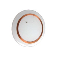 倍加福 IPC11-50CD 10pcs RFID 应答器 RFID和光学识别